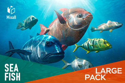 Sea fish - large pack