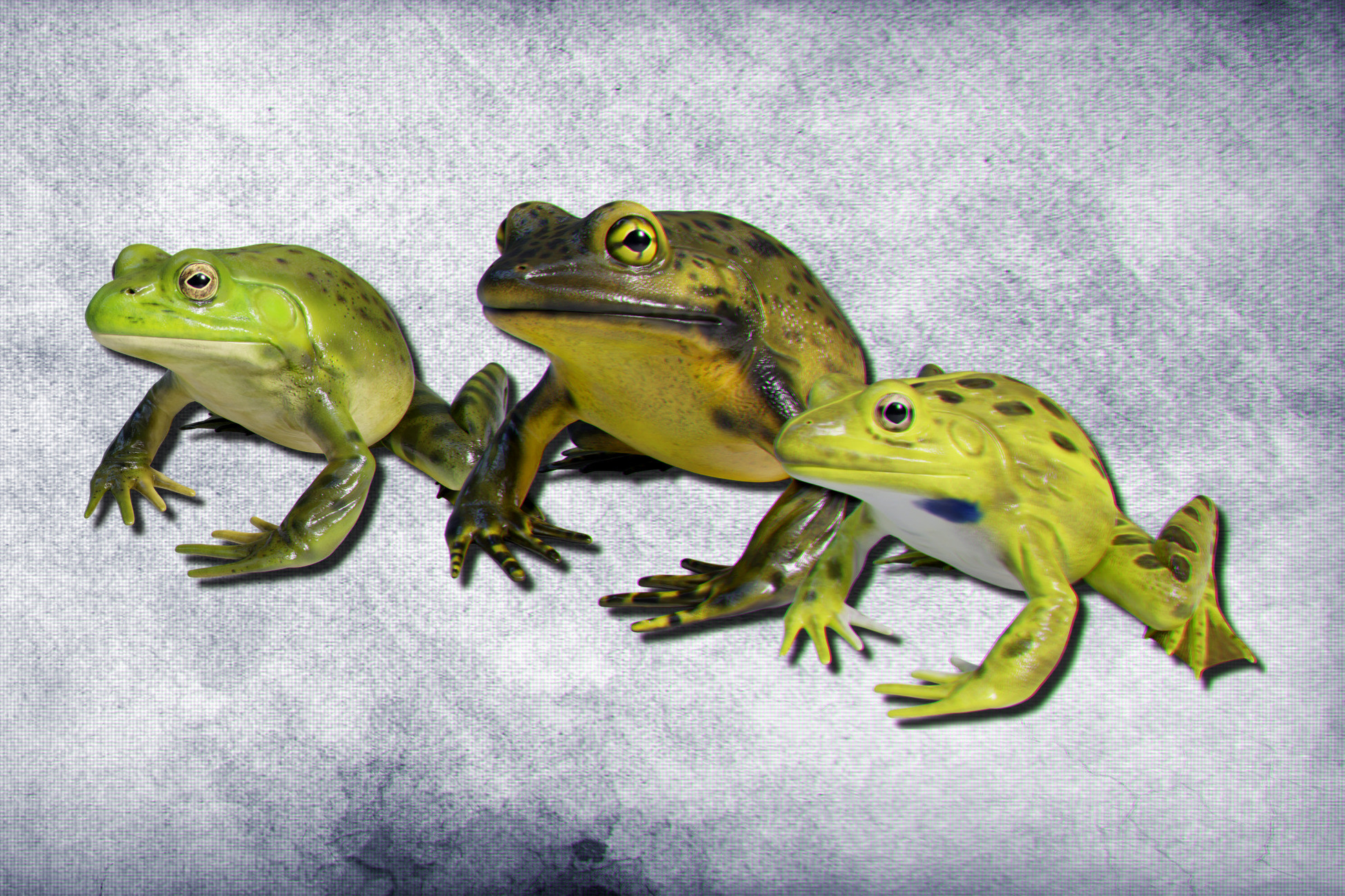 Animated Bullfrogs Volume 1 | 3D Animals | Unity Asset Store