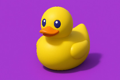 Rubber Duck Collection