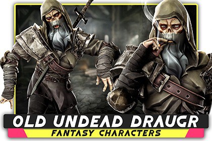 Old Undead Draugr - Stylized Zombie Warrior - Norse Fantasy Medieval Enemy - #72