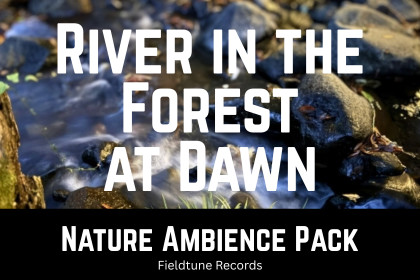 River in the Forest at Dawn