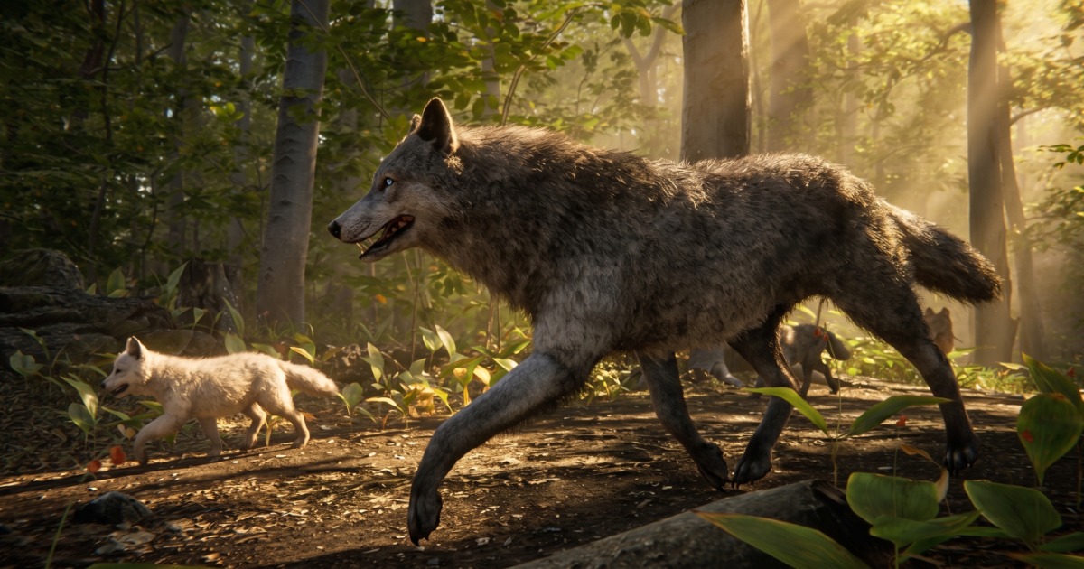 Realistic Wolf | 3D Animals | Unity Asset Store