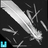 Feather Particle System