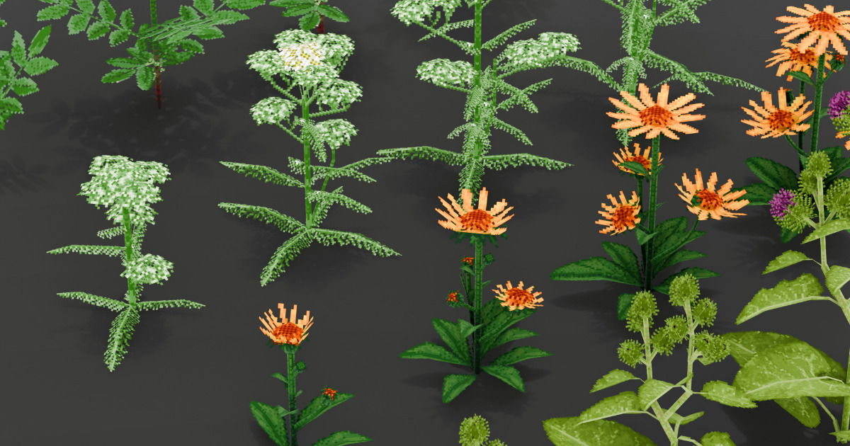 Officinal wild plants with growth stage variations - pixel-art graphics ...