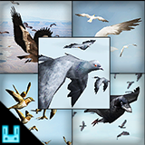 Bird Flock Bundle 2026