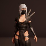 Shinobi ninja girl assassin