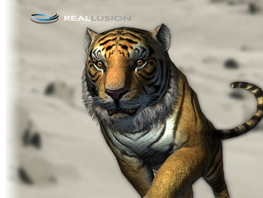 Tiger Unity Tiger Motion Pack | Characters | Unity Asset Store