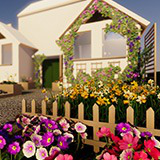 Garden Flowers and Herbs 2