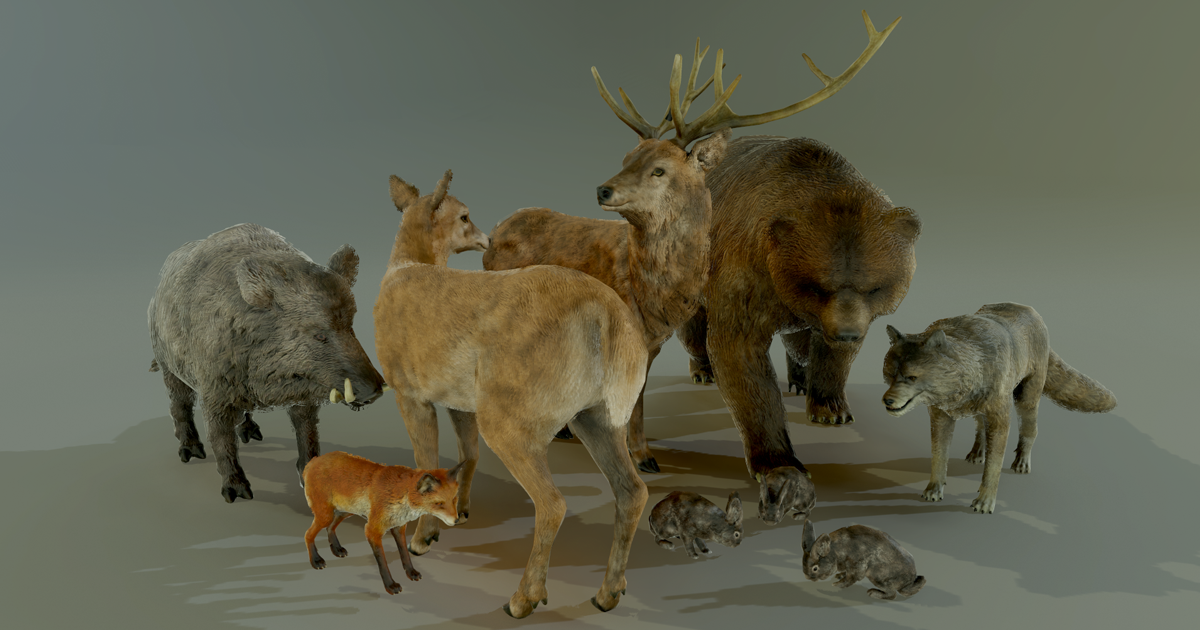 Unity Animals Asset FOREST ANIMALS PACK | 3D Animals | Unity Asset Store