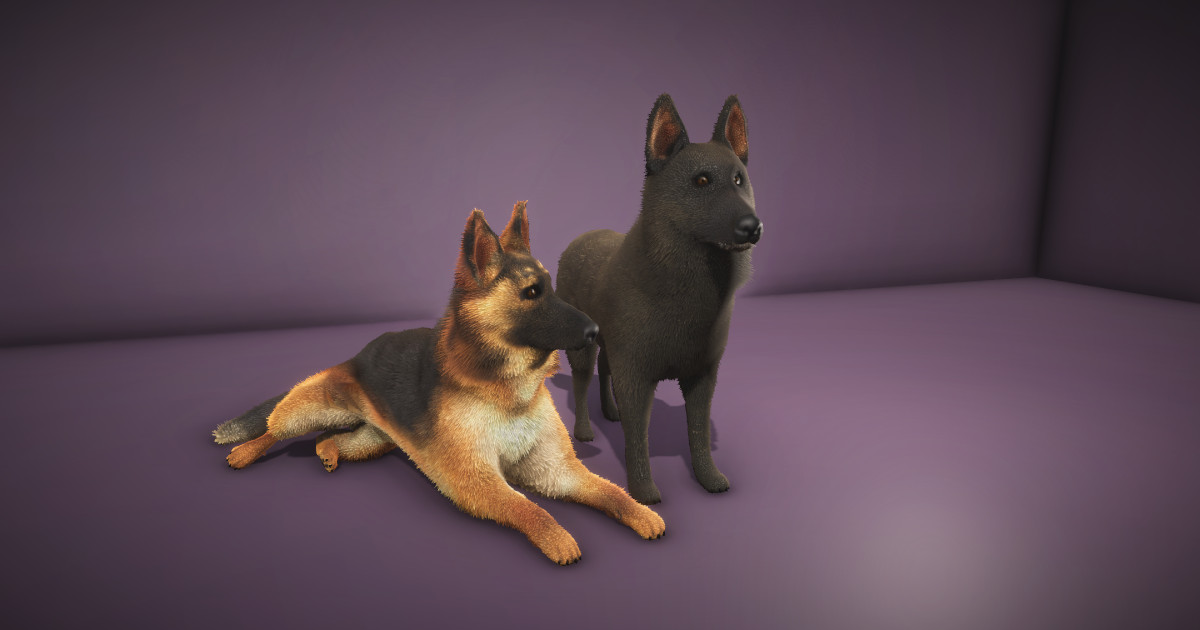 Unity Chain Dog PIDI - German Shepherd Dog | 角色 | Unity Asset Store