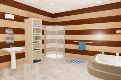 Bathroom Interior 01