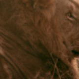 Epic African Hybrid Music Pack Vol1