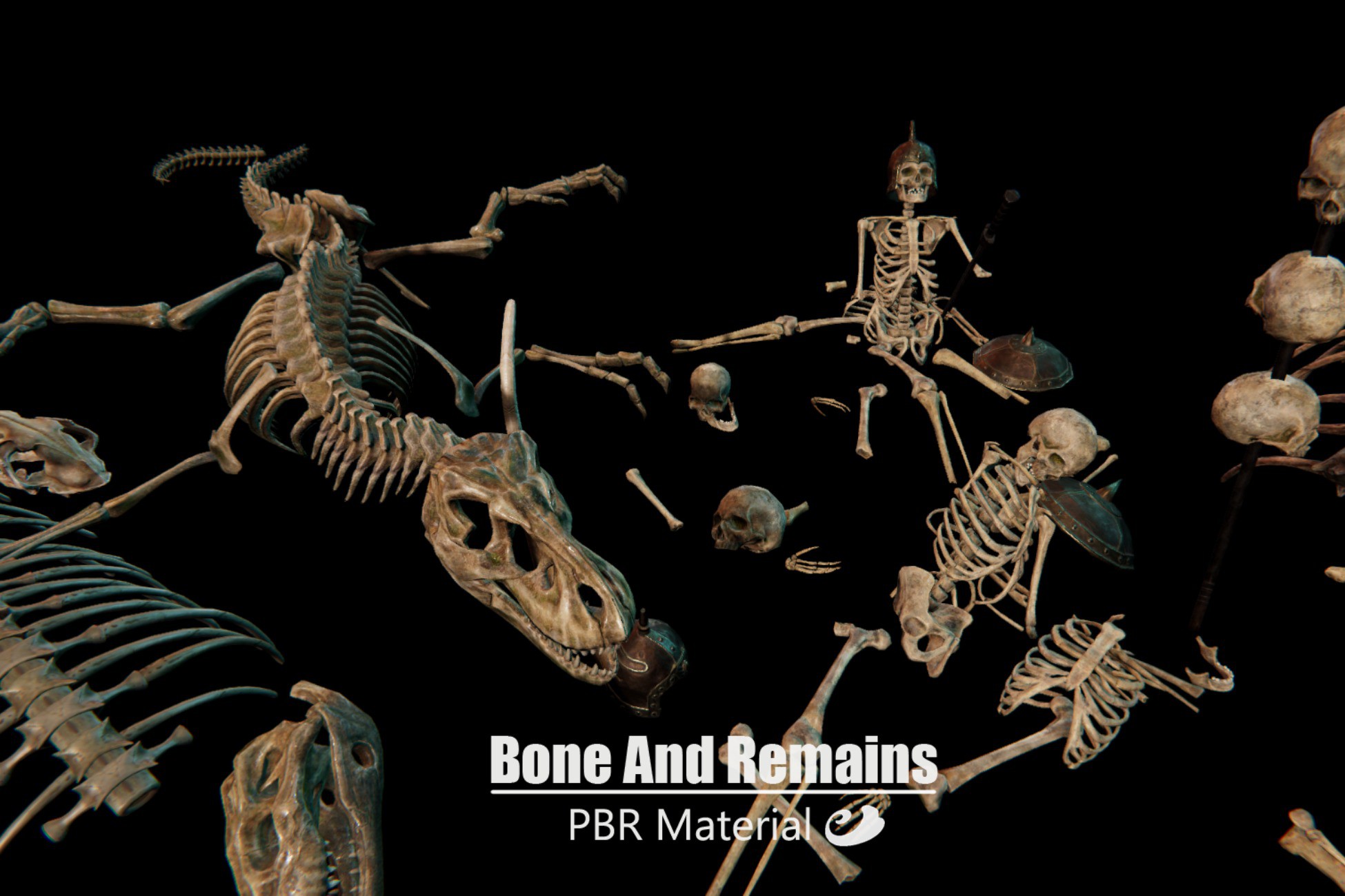 Bone And Remains | 3D 소품 | Unity Asset Store