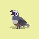 Quail - Quirky Series