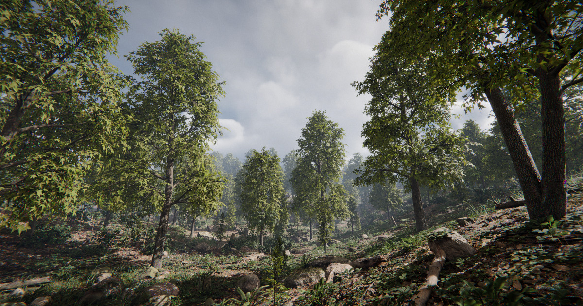 Sweetgum Tree | 3D Trees | Unity Asset Store