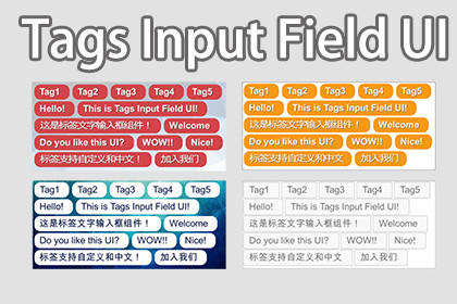 Tags Input Field UI By maything