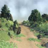 Common Forest | Stylized Nature