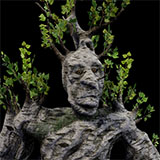 Tree ent birch