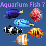 Aquarium Fish 7