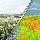 Advanced Terrain Grass System