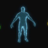 Human Hologram Male 3D Model (Low-Poly, Game-Ready, 28 Animations, Built-In)