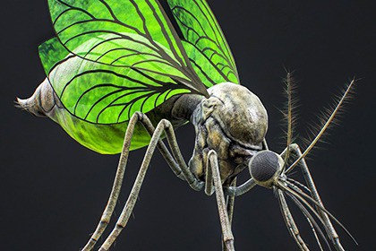 Mosquito Defender - Fantasy Poison Mosquitoes