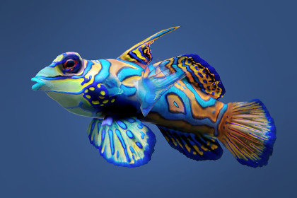 Mandarinfish