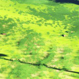 Stylized Multi-Biome Landscape