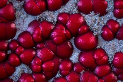 Crystal Texture & Material Vol. 27