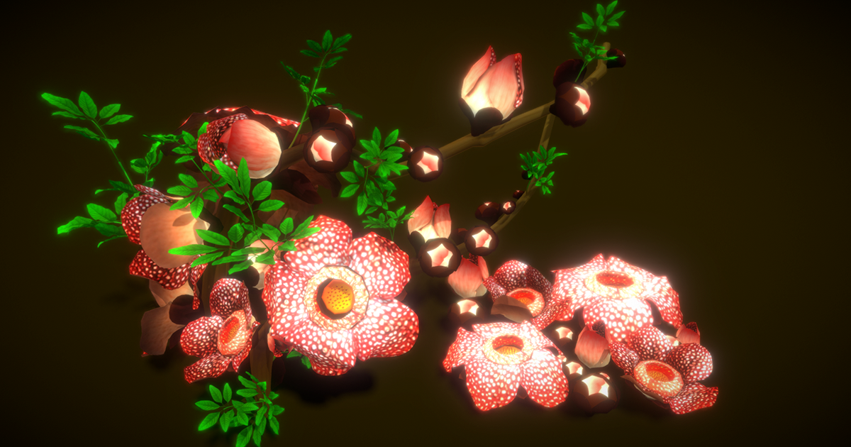 Flower_Rafflesia arnoldii | 3D 花 | Unity Asset Store