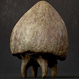 Mushroom Monster4