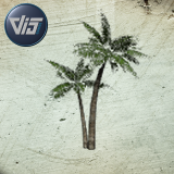 Palm Trees Collection