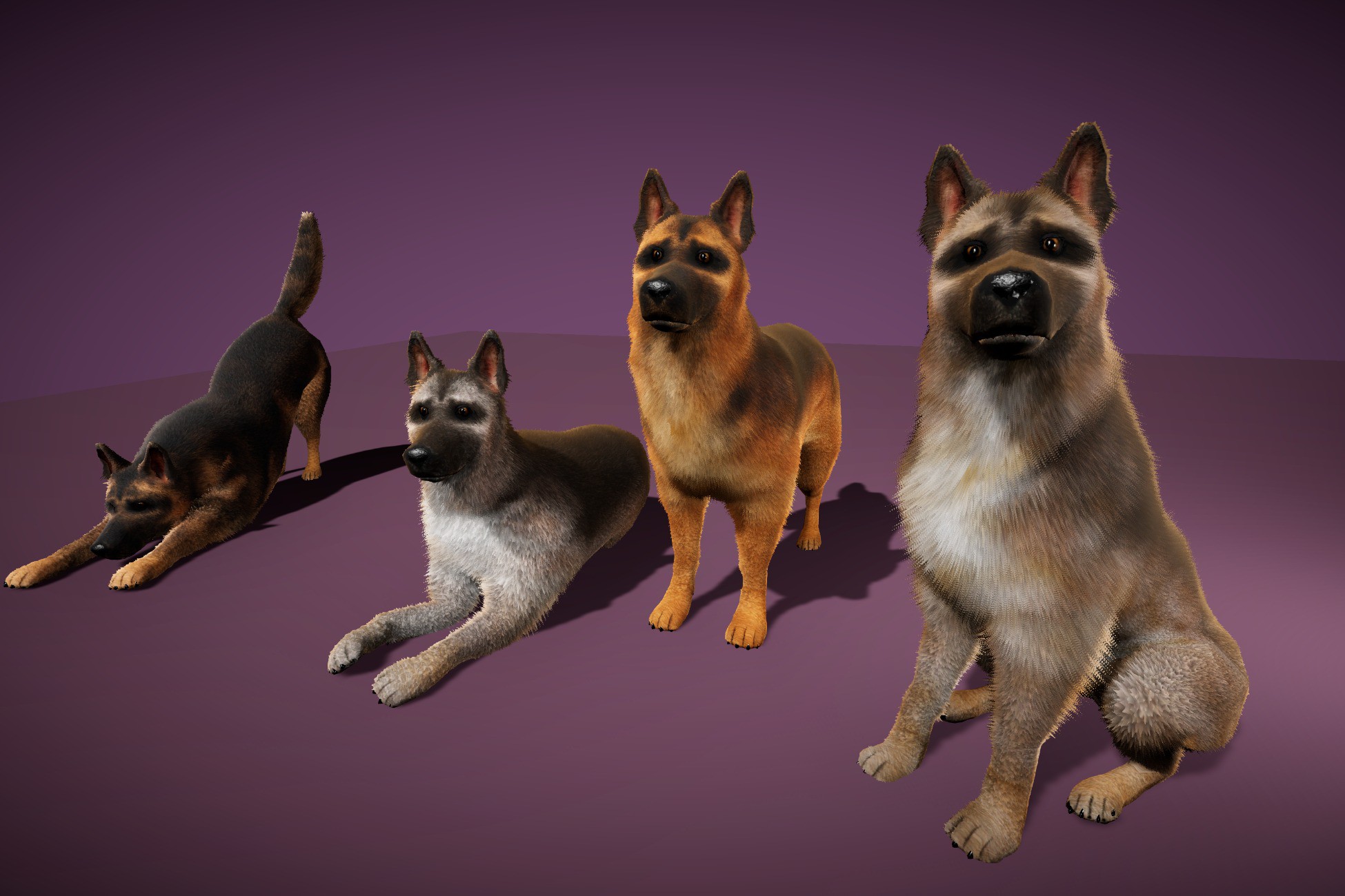 German Shepherd Dog + XFur Studio Bundle | 3D Animals | Unity Asset Store