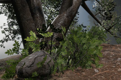 FREE 3D VEGETATION PACK