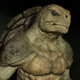 Turtle Humanoid