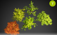 Yughues Free Bushes