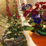 Garden Flowers 3
