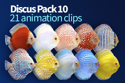 Discus 10 Fish Pack
