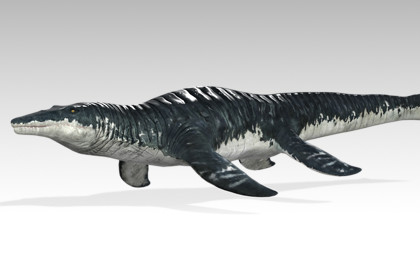 Mosasaurus(Animated)