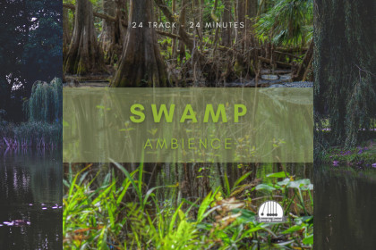 Swamp Ambience