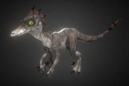 Raptor Light