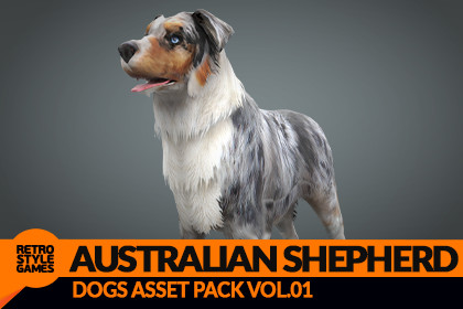 Australlian Shepherd 3D Model