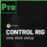 Control Rig Pro