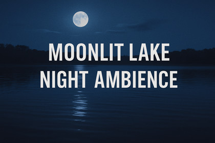 AMP (Astrokid Mini Pack) – Moonlit Lake (Night Ambience)