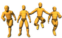 Human Basic Motions FREE
