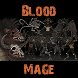 Blood Mage