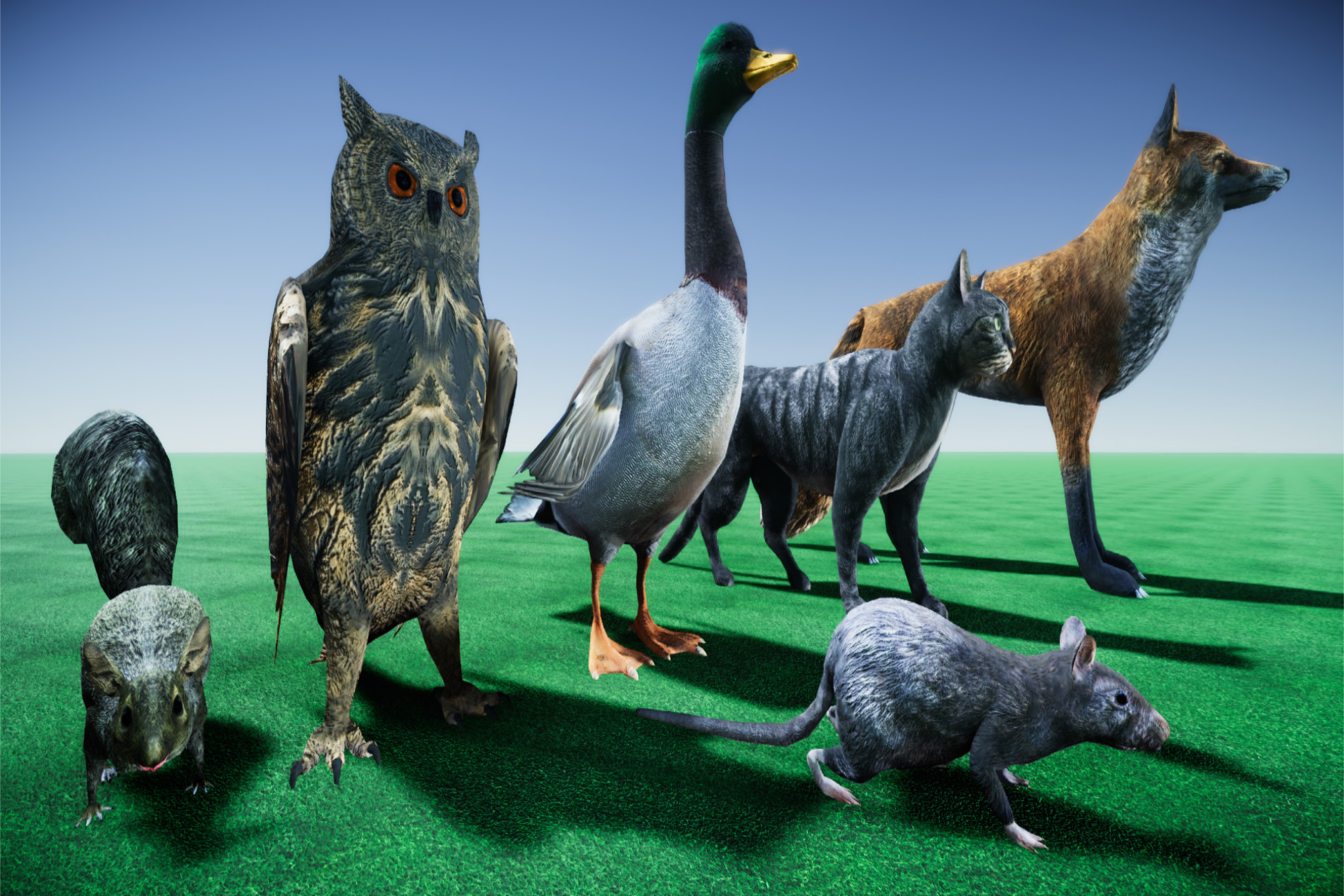 Anials Unity Animals Extra Pack LowPoly V1 | 3D Animals | Unity Asset Store
