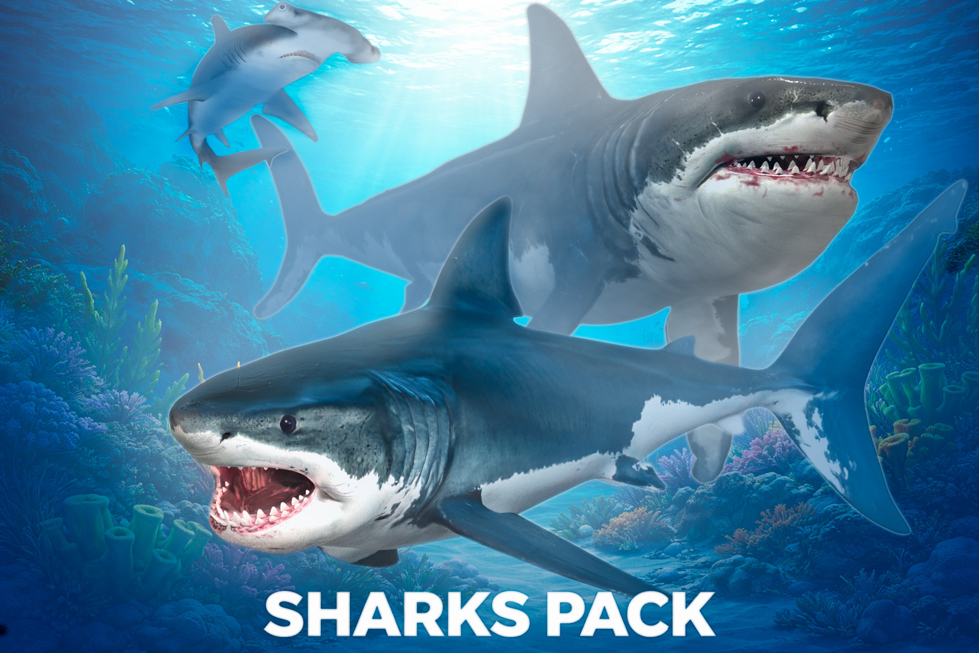 Sharks Pack | 캐릭터 | Unity Asset Store