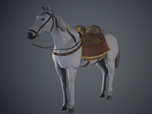 Horse White Beautiful