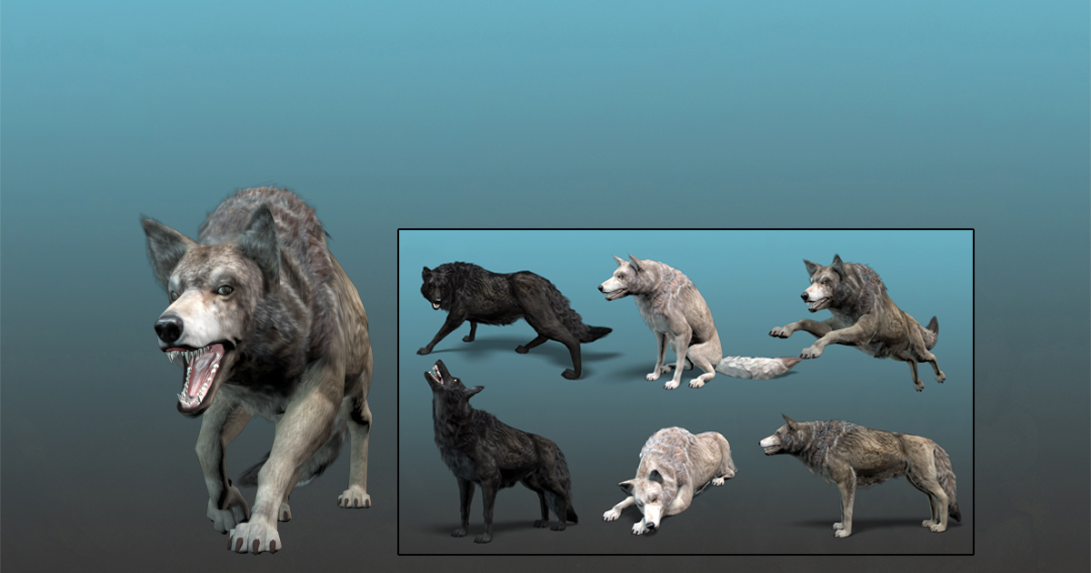 Forest Animal - Wolf (FULL) | Characters | Unity Asset Store
